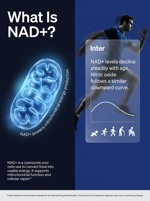 Aevor Liposomal NAD+ Men's Complex — 1000 mg